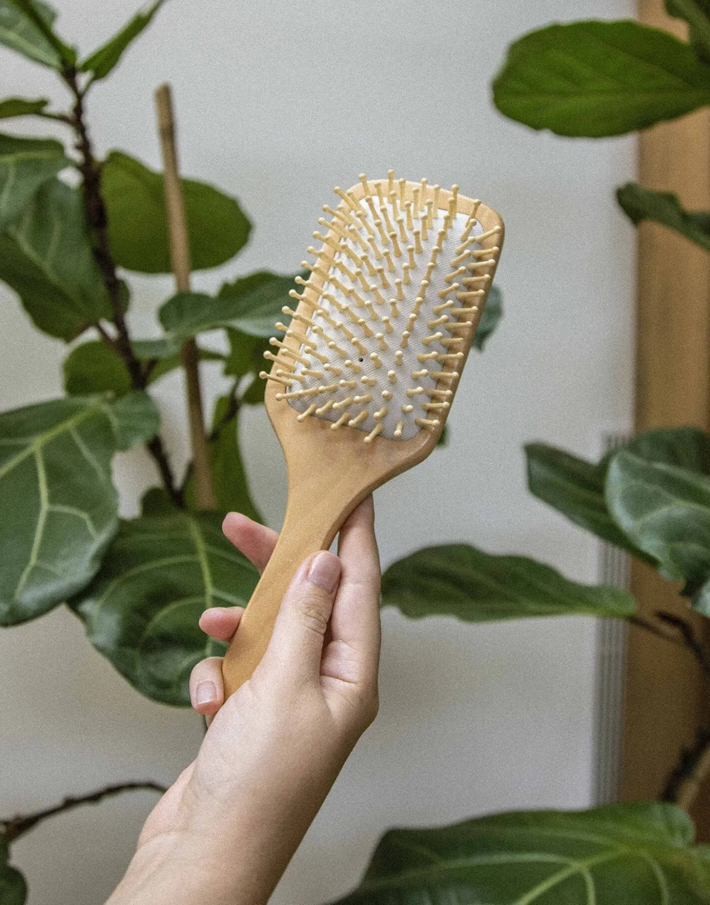 Natura Selection Bodycare & Beauty | Bodycare & Beauty>Cepillo Madera