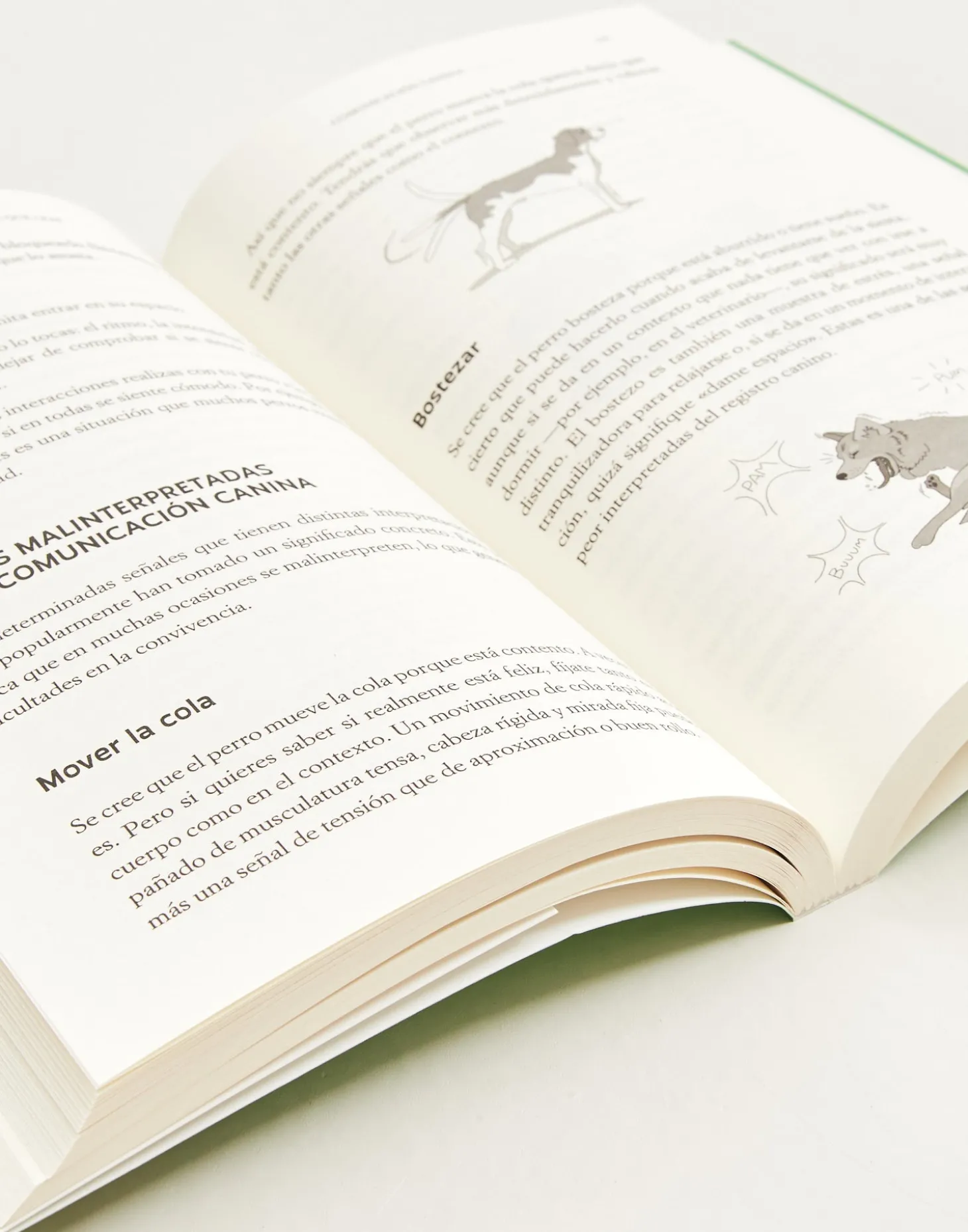 Natura Selection Libros>El Libro Que Tu Perro Quiere Que Leas