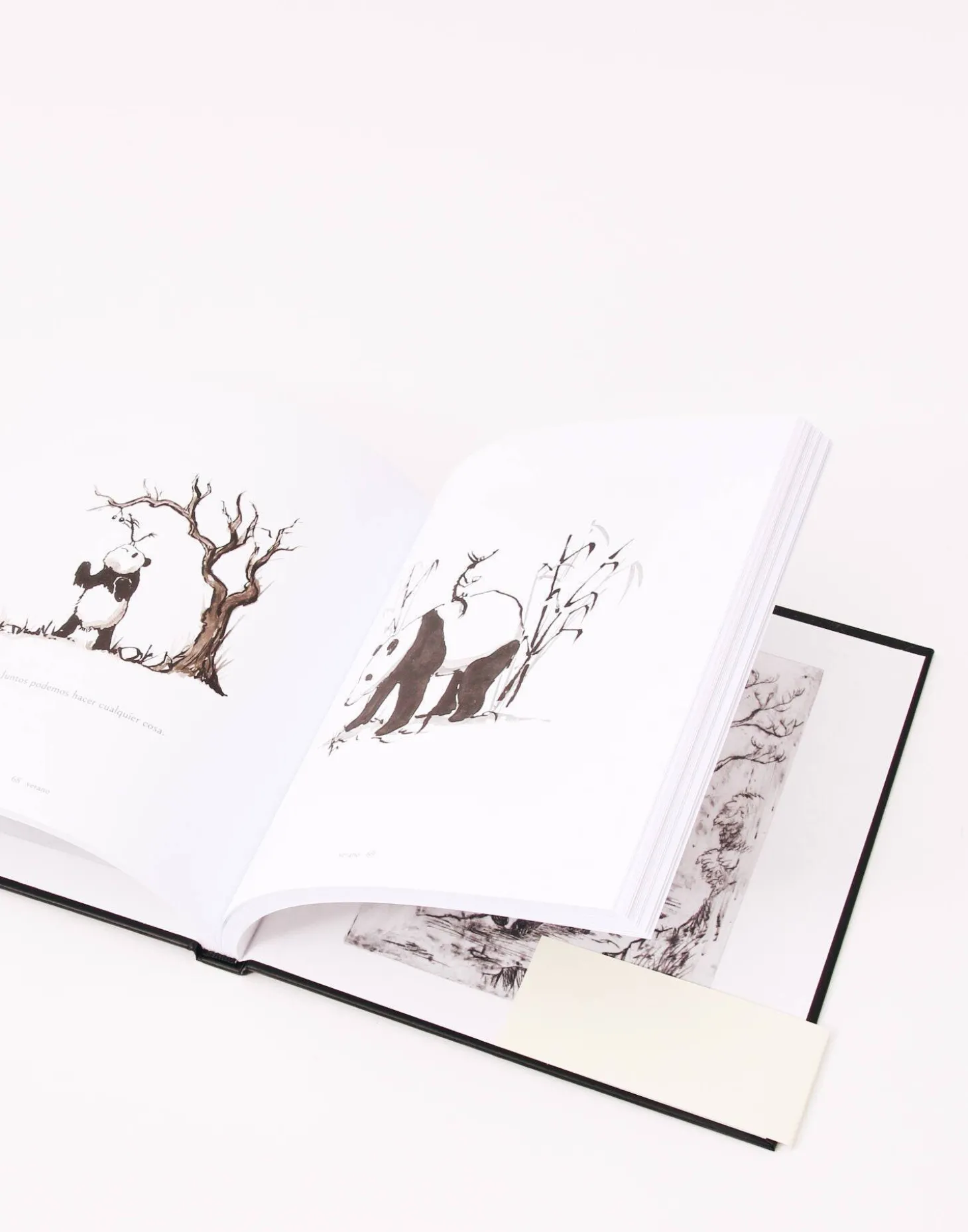 Natura Selection Libros>Gran Panda Y Pequeño Dragón