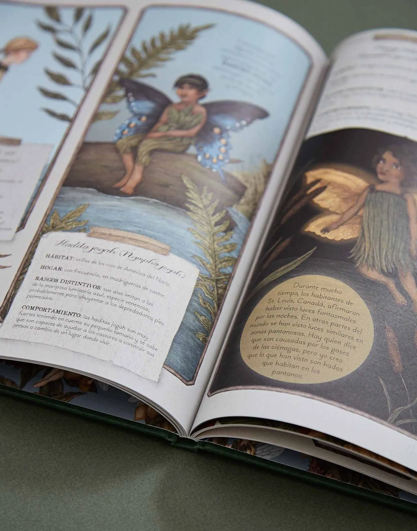Natura Selection Libros>Historia Natural De Las Hadas