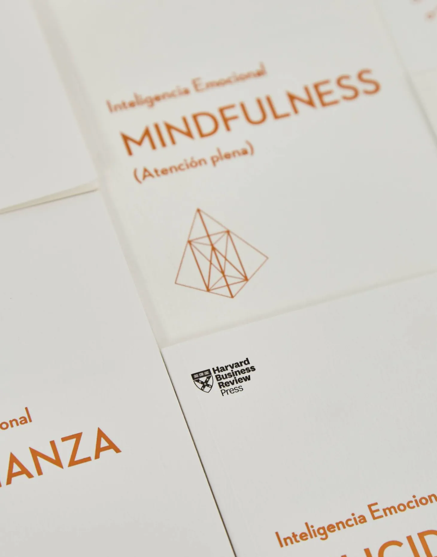 Natura Selection Libros>Inteligencia Emocional