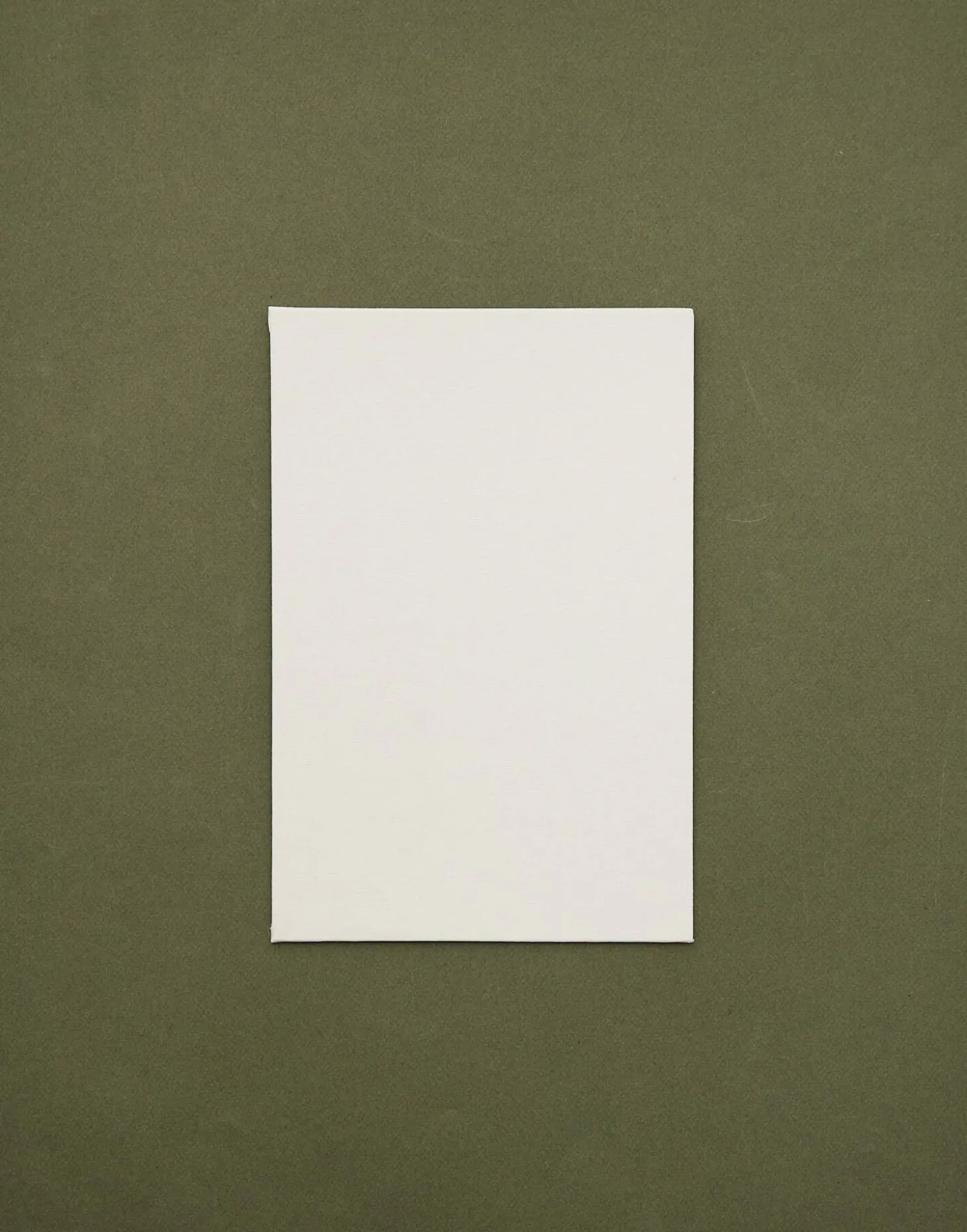 Natura Selection Papelería>Set 3 Lienzos Din A4